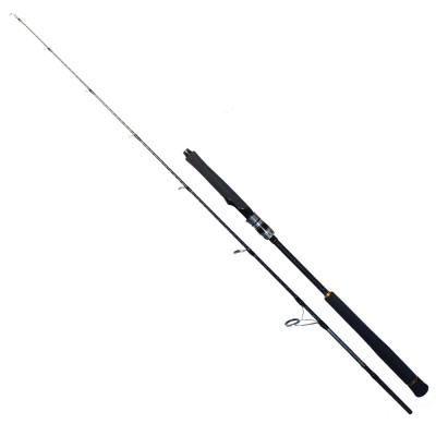 Ryuji Seawolf 1,68 mt. 150-250 gr. Jig Kamışı